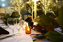 HOLIDAYS AT THE SORRENTO